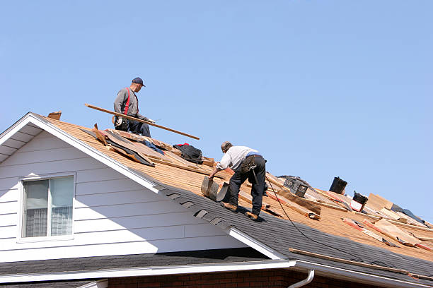 Best Roof Moss and Algae Removal  in Howard, WI